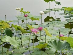 -西海子公园