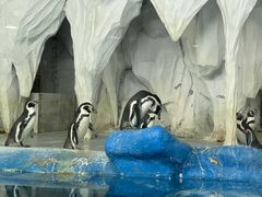 -太平洋海底世界