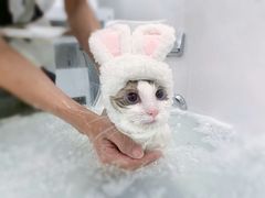 -comecome来吧宠物(奥克斯中心店)