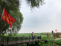 -洪湖生态旅游区