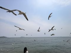 -银沙滩浴场
