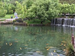 -丽江玉水寨