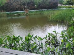 -天目湖涵田半山温泉