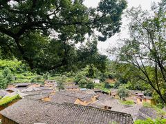 -杨家堂村