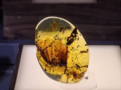 -国家会展中心