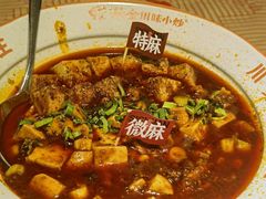 -陈麻婆豆腐总店