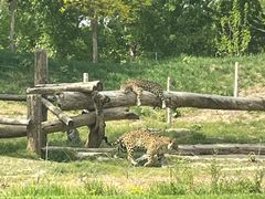 -北京野生动物园