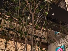 -桂满陇·海市蜃楼·黑金(国金店)