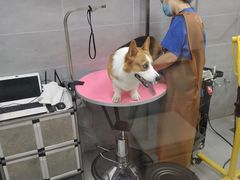 -宠福鑫康馨动物医院·骨科·眼科