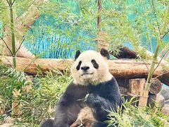 -杭州动物园