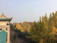 -武汉大学-樱园