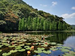 -广州市石门国家森林公园