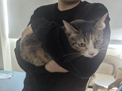 -美联众合动物医院·24h京西诊疗中心