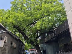 -老北京馅饼粥(西单店)