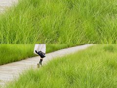 -中国天府农业博览园