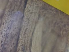 -第一食品(中环百联店)