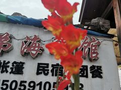 门面-阿弟特色海鲜餐厅·大排档(平潭店)