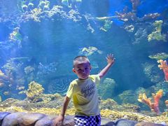 -华夏文旅海洋公园