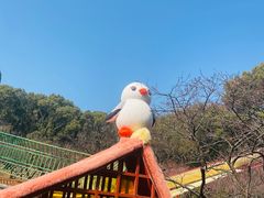 -无锡梅园公园
