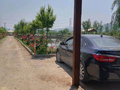 -同銮特种养殖场·龙虾垂钓