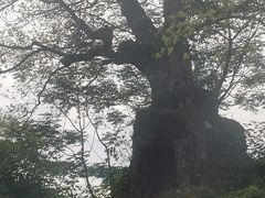 -涞滩古镇