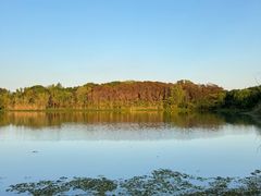 -昆山城市生态森林公园