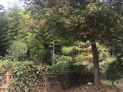 -陶祖圣境风景区