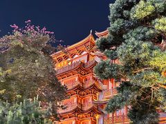 -大佛古寺