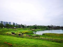 -桂溪生态公园