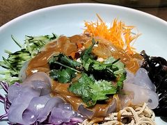 五彩拉皮-大胡同天津菜·海肠捞饭·津门皮皮虾锅贴一绝(西姜井店)