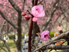 -白塘生态植物园