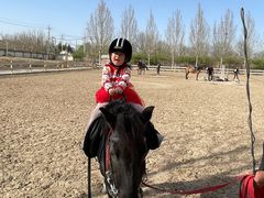 -北京群众马术培训基地