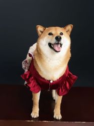 -瞳摄影写真旗舰店