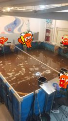 -巡鱼道·室内垂钓·渔具店