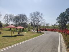 -南京枫彩漫城