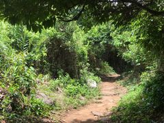 -硇洲岛旅游区