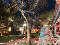 -白家大院·王府宫廷菜(苏州街店)