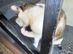 -水先生寧波菜(天一店)