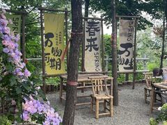 -沂蒙山旅游区云蒙景区(蒙山国家森林公园)