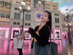 -澳门威尼斯人综合度假区