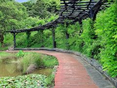 -广州市石门国家森林公园