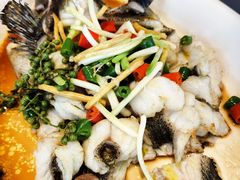 姜麻鲜椒青斑-滋粥楼·顺德菜海鲜茶点(金融城店)