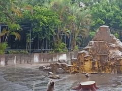 -广东茂名森林公园