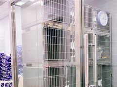 -宠福鑫康馨动物医院·骨科·眼科
