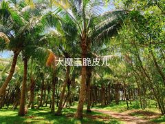 景点-白沙门生态公园