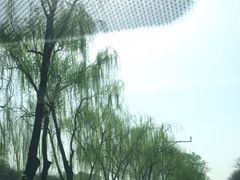 -江仙雅居(苏州桥店)