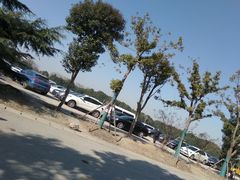 -上海市第一人民医院(松江南部)