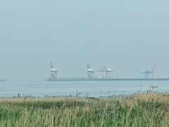 -莆鑫海鲜城(浏河店)