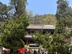-潭柘寺景区