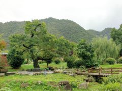 -贵阳市花溪国家城市湿地公园
